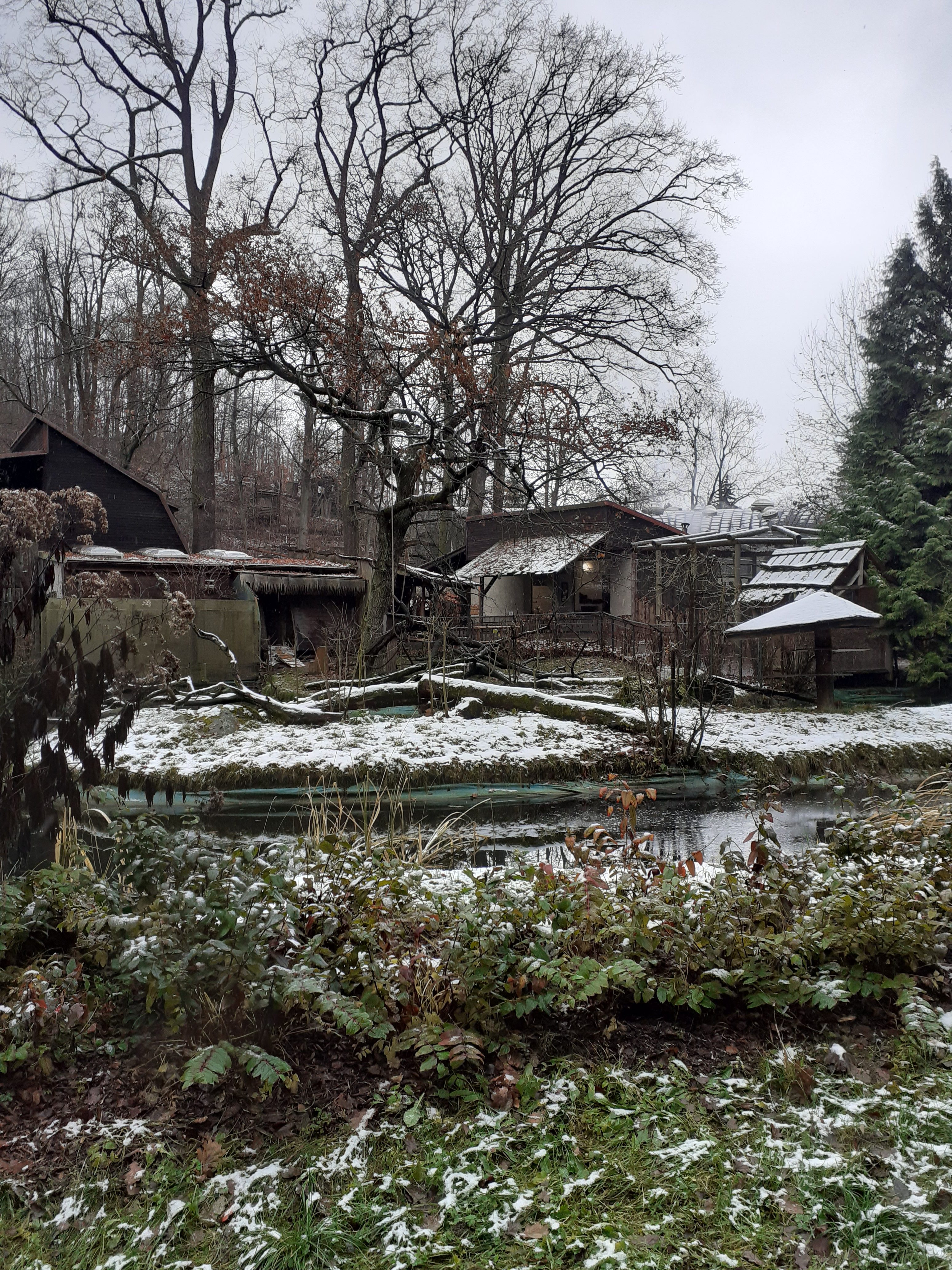 20241210 131250 e1734680364621