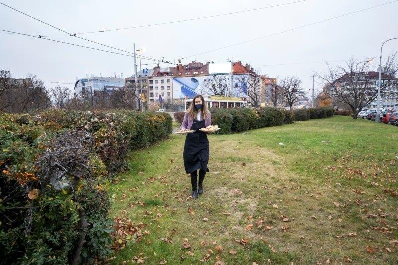 Vanocni tramvaj Dendrit 203