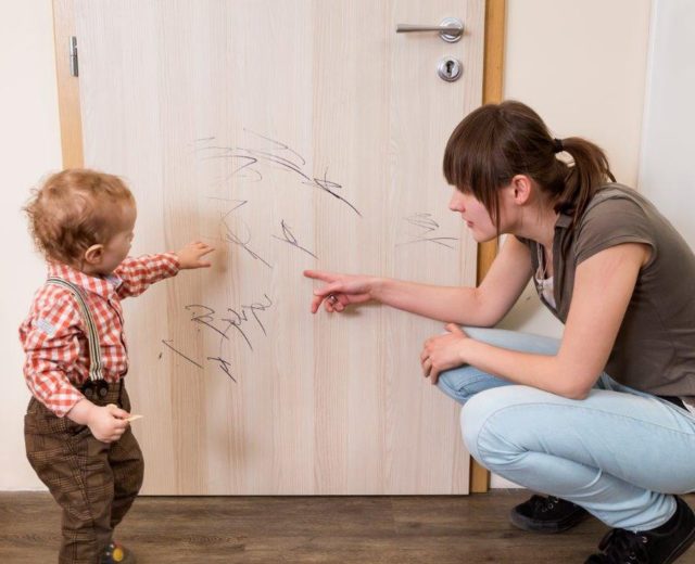 ČEMU VŠEMU ODOLAJÍ DVEŘE SOLODOOR?