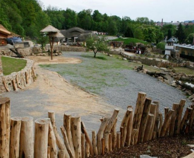 PŘÍJEZD ŽIRAF DO JIHLAVSKÉ ZOO ZAJISTILO SAPELI